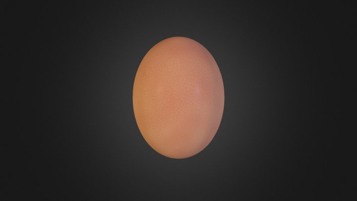 Chicken Egg 3D Model