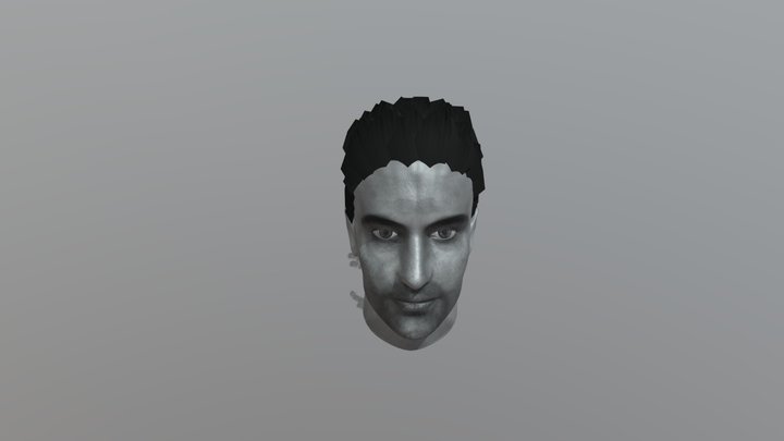 Black& White Head 3D Model