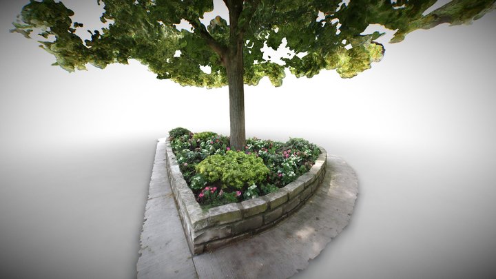 Flower Bed under Lime Tree 3D Model