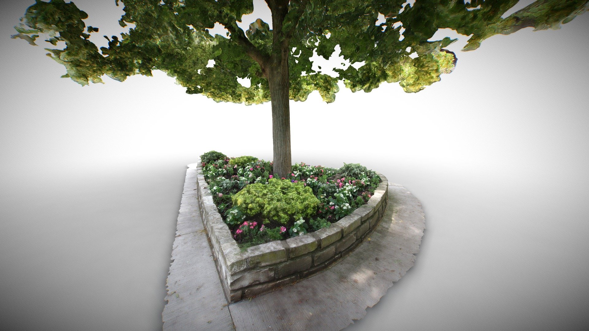 Flower Bed under Lime Tree