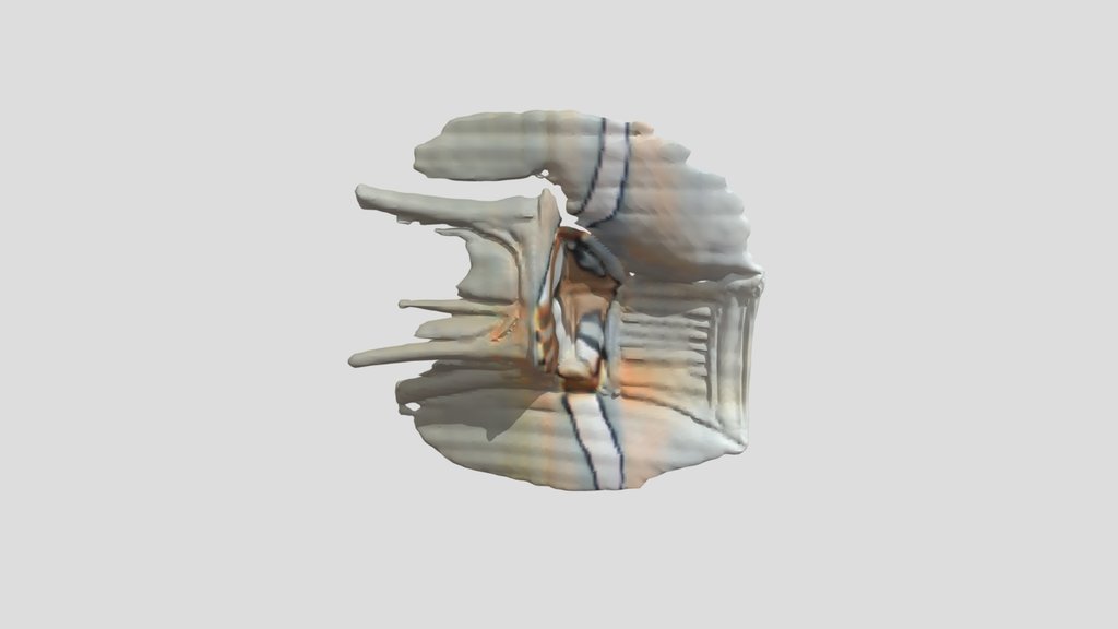 A Wooden Chair, Furniture Design