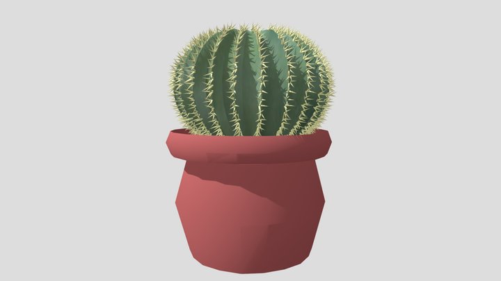 Yellow Barrel Cactus 3D Model