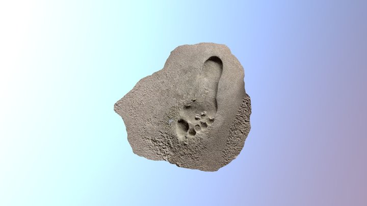 head postion pressure release 1 3D Model