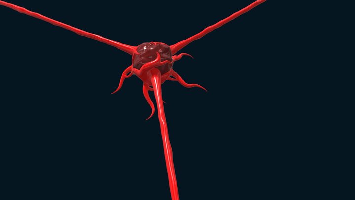 veins_demo_v2 3D Model