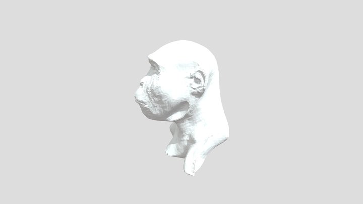Australopithecus Afarensis (Out Of The Cradle)