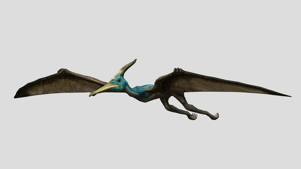 DracoWarrior's Pteranodon