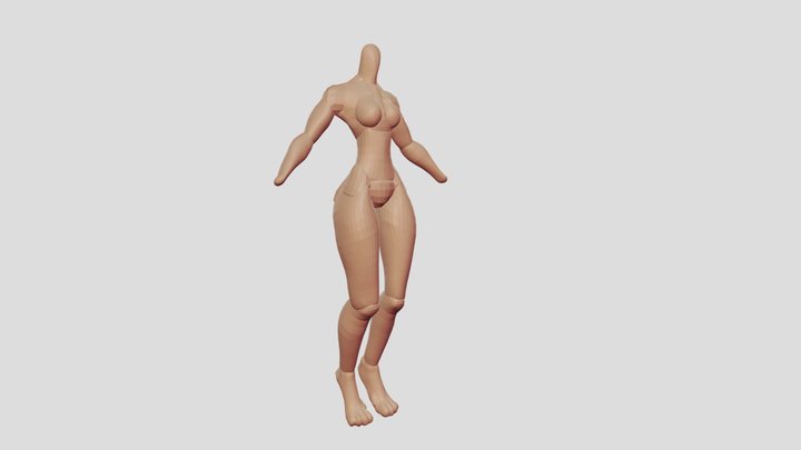 Stylized female body, anthro feet 3D Model