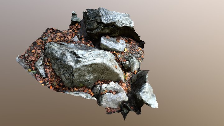 Stones with Leaves – Kostenloses 3D-Modell STL