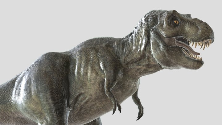 Jurassic Park - Animatronic Tyrannosaurus-Rex 3D Model