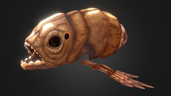 Research Specimen Theta Skeleton