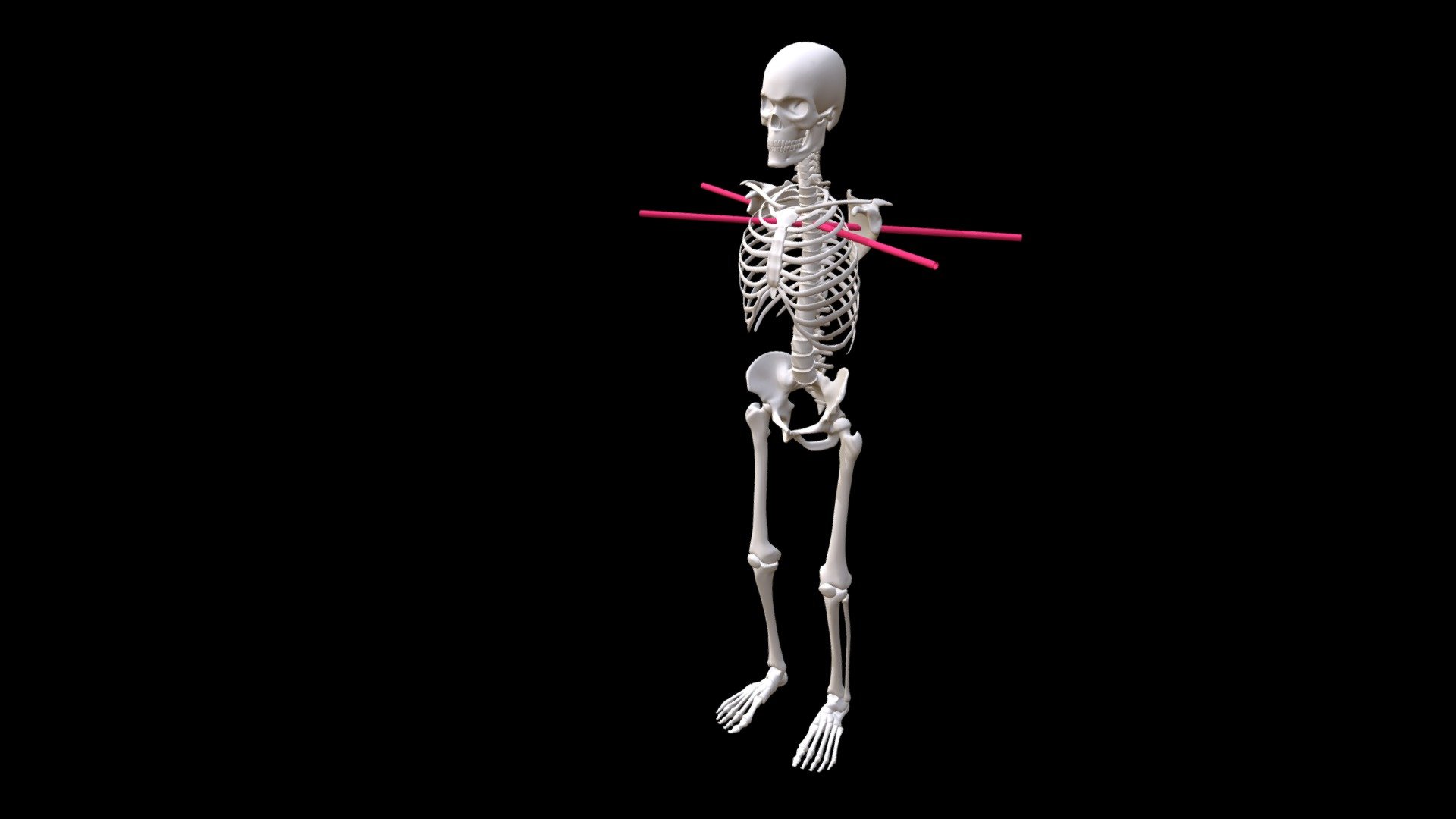 6 Move into Space -- Golden Directions in Chest