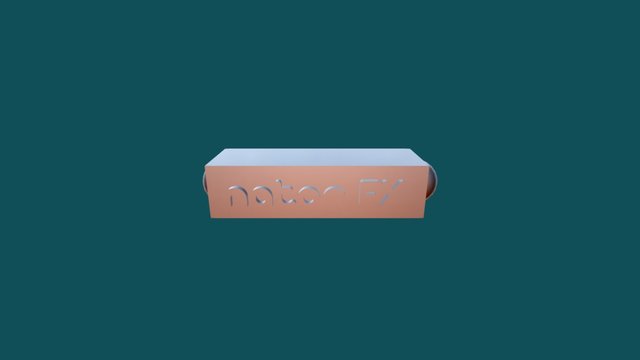 NATAN FX TESTE 3D Model