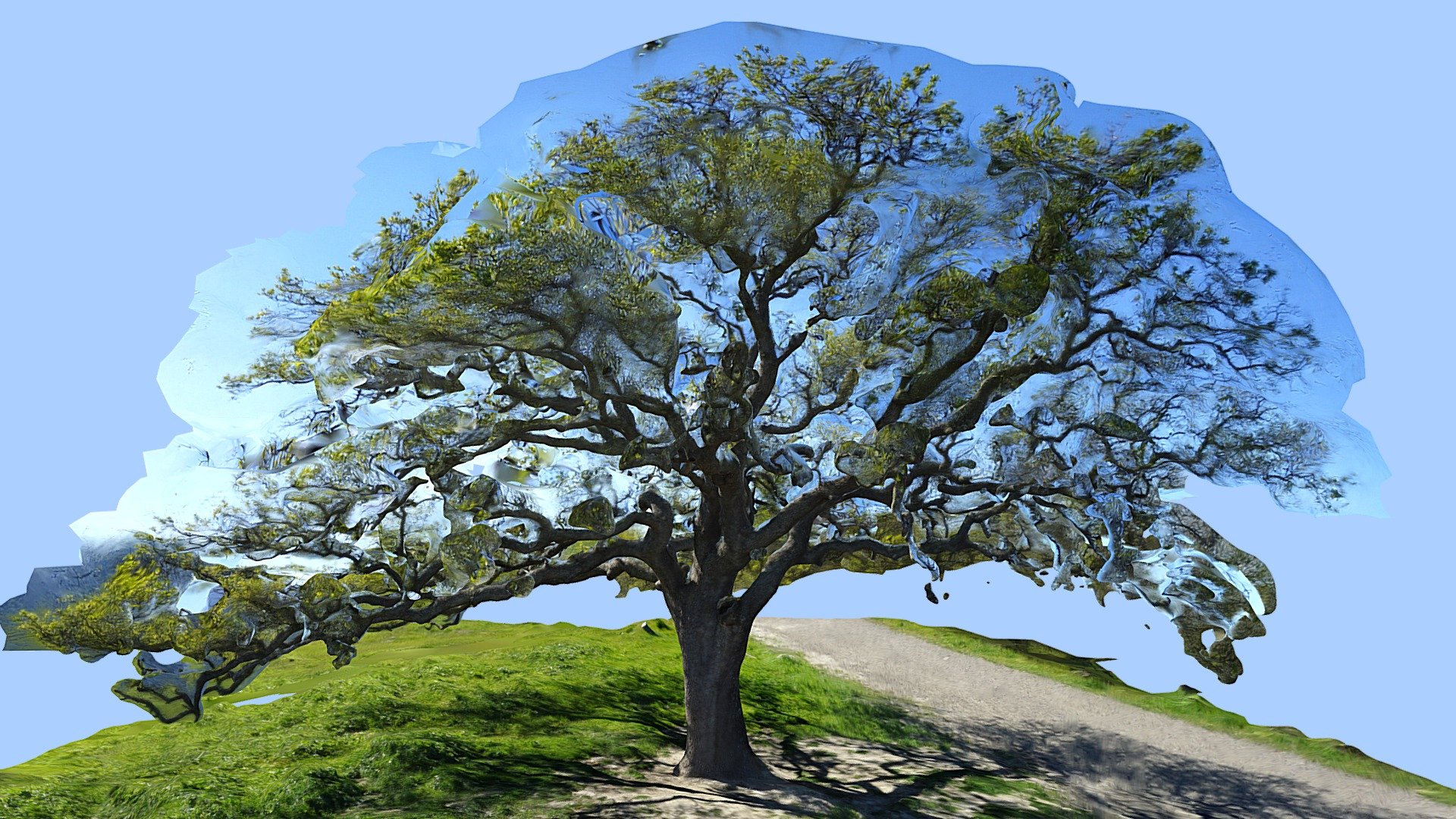 Big Blue Oak - Buy Royalty Free 3D model by John Toeppen (@toeppen ...