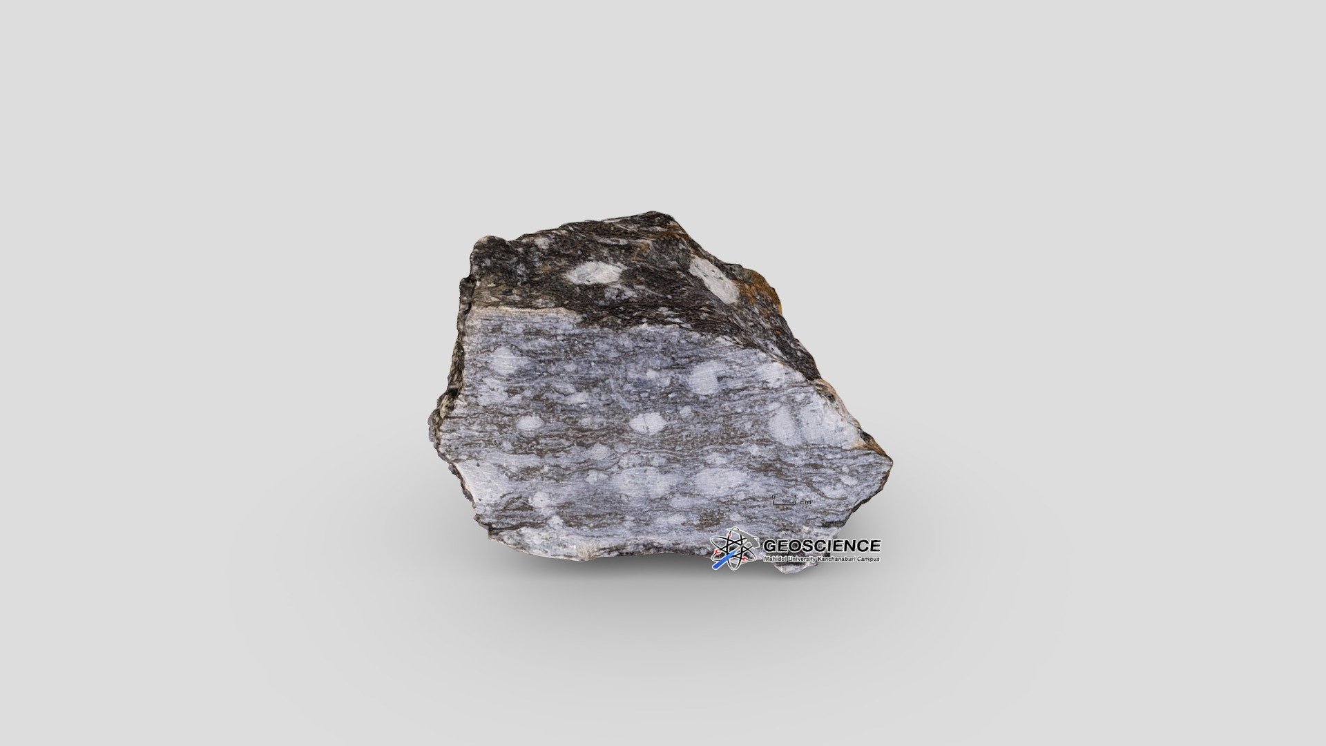 Augen gneiss