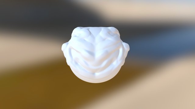My model 3D Model