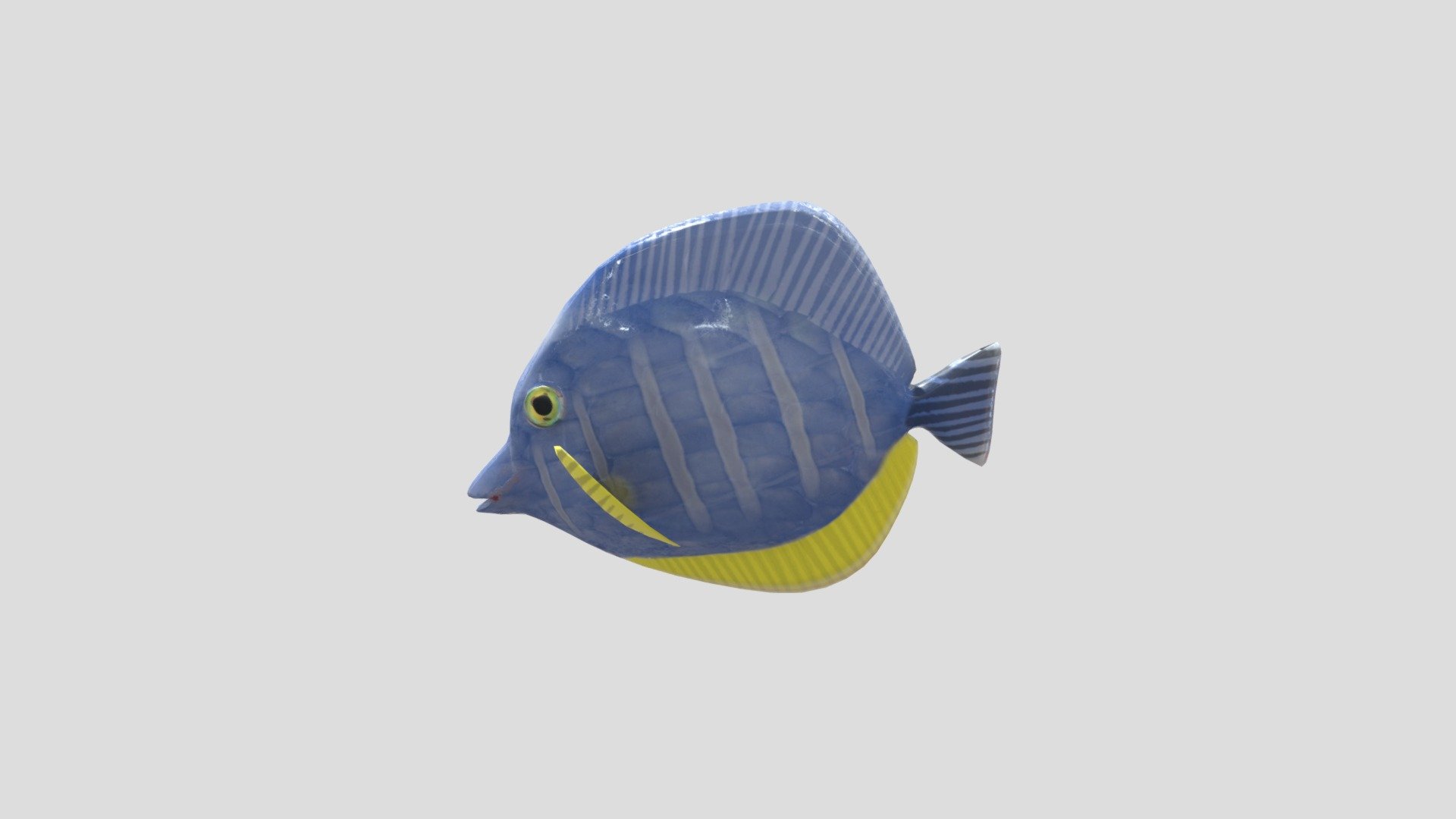 Sawyer Fish