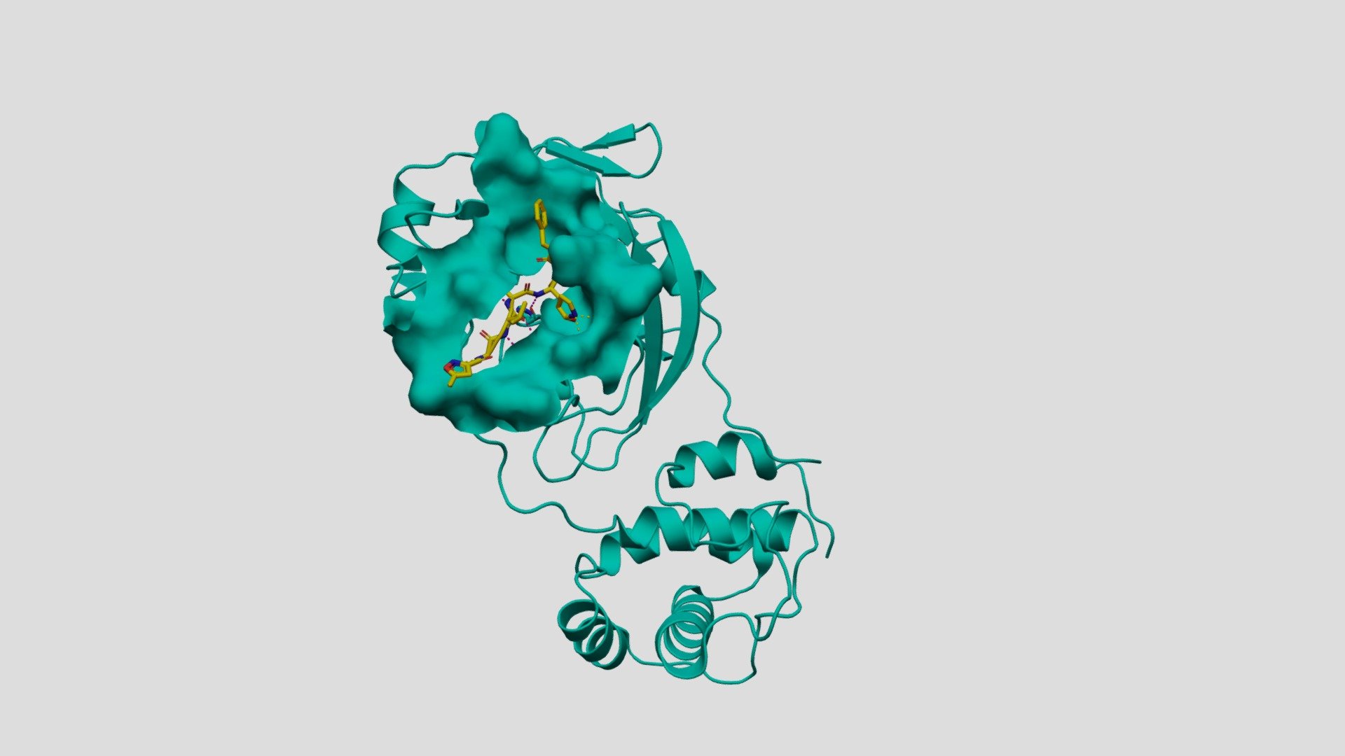 SARS-CoV-2 main protease and inhibitor N3
