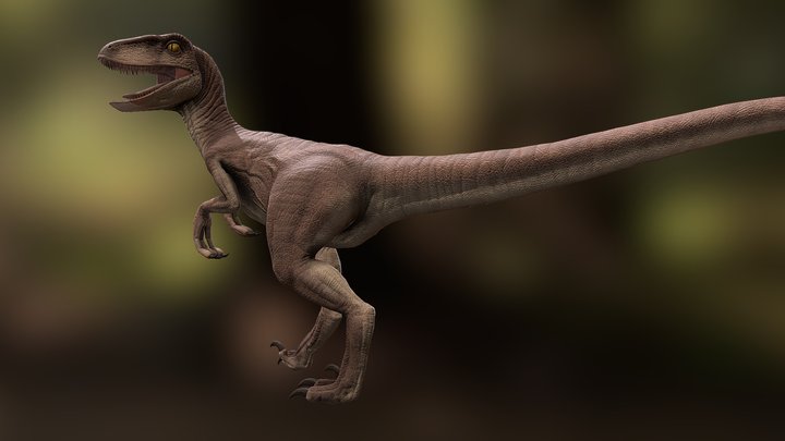 Velociraptor - Game Model - 3D Model