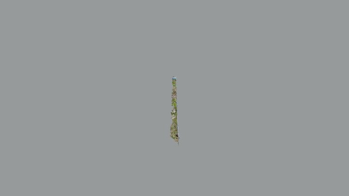 wall scan 3D Model