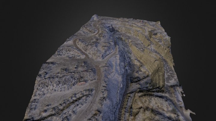 Mesh_Cambrian_10_8_colored_cropped 3D Model