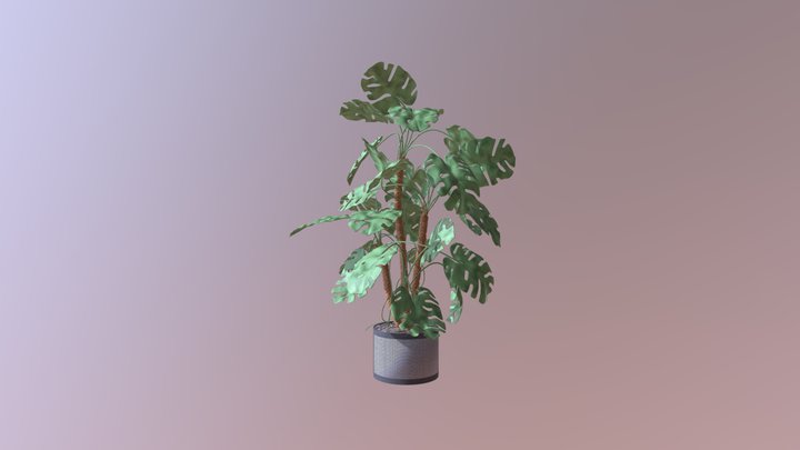 House plant 3D Model