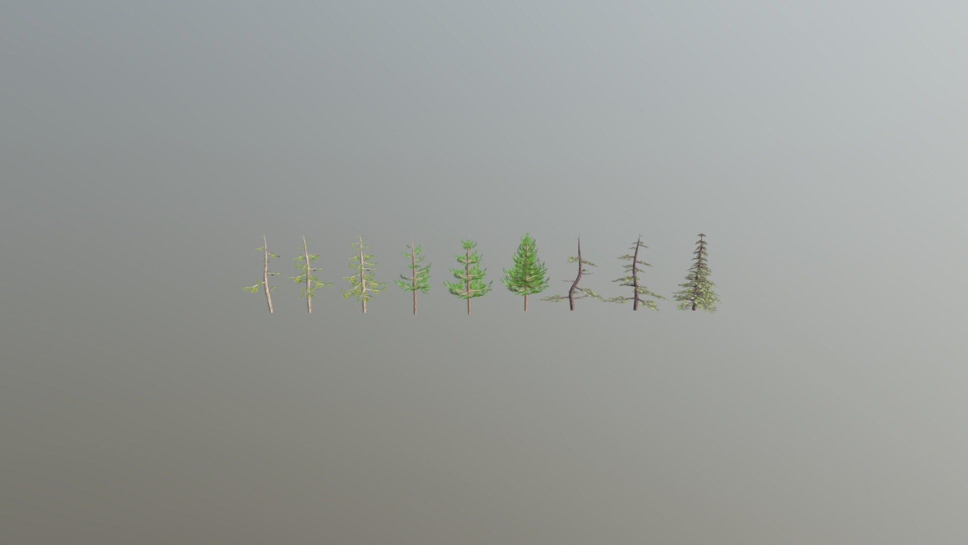 Pack coniferous - 3D model by dess81 [ff02be8] - Sketchfab