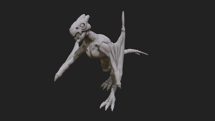 Harpy Raptor 3D Model