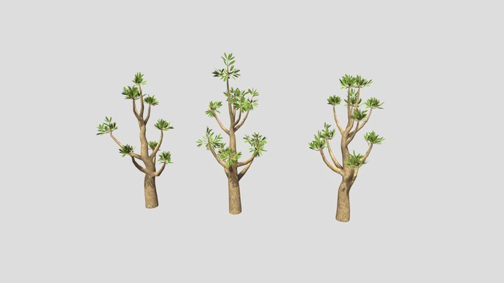 Sahara Desert Trees 3D Model