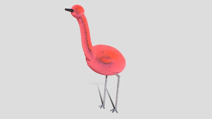 Bird_gep 3D Model