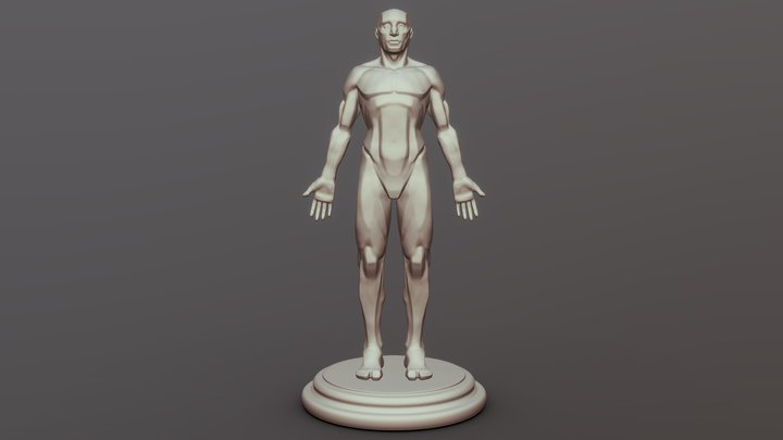 Anatomical Planes study 3D Model