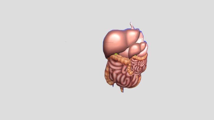 usus2 3D Model