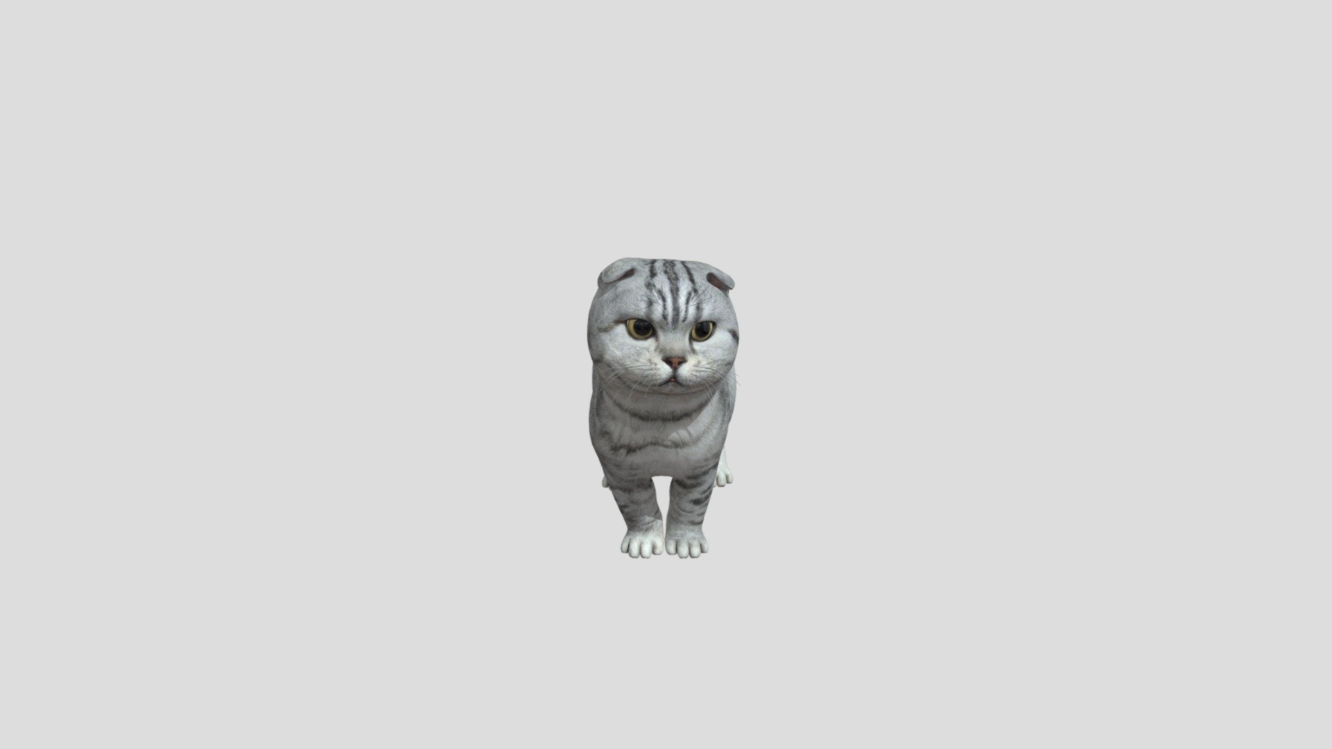 Kitten Buy Royalty Free 3d Model By Phil3d Philosophie Ff146e8 Sketchfab Store 3850