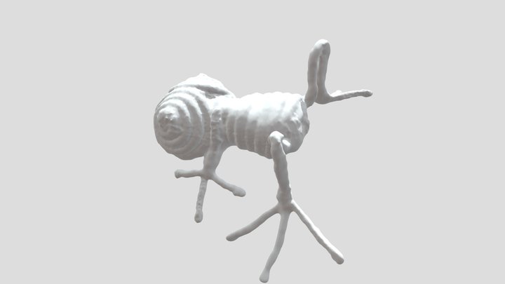 W5-3dscan-frog 3D Model