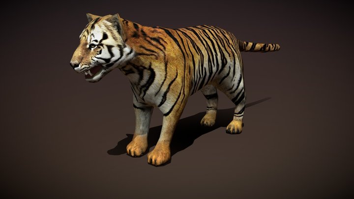 Safari animals - Tiger 3D Model