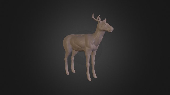 Deer Final 3D Model