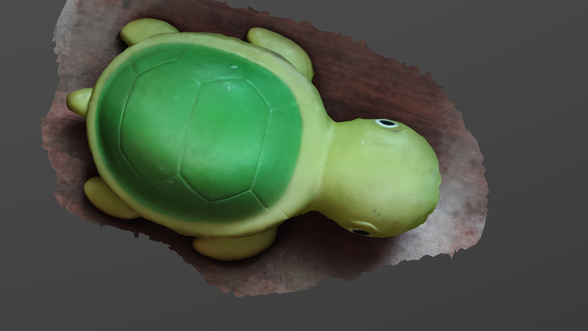 My Turtle