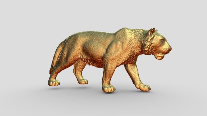 Tigre branco Modelo 3d