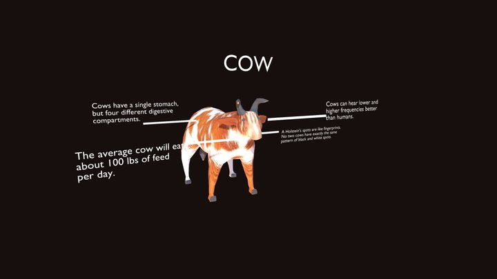 Cow 3D Model