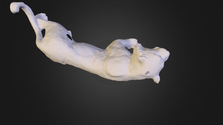 CAT 3D Model