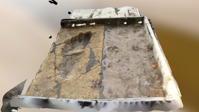 Ancient Footprints 3D Model