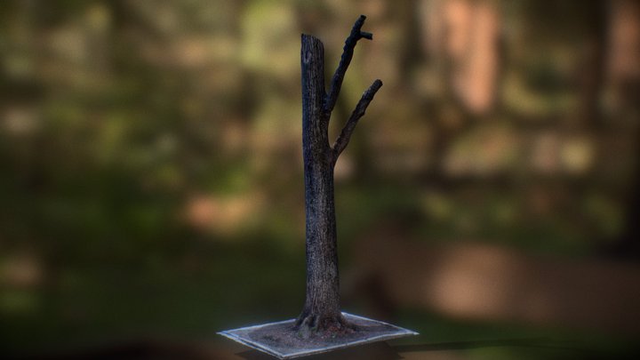 Tree 3D Model