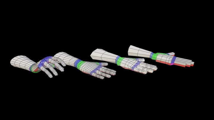 Hand Reference 3D Model