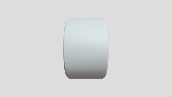 SKF D W R0-2Z 3D Model