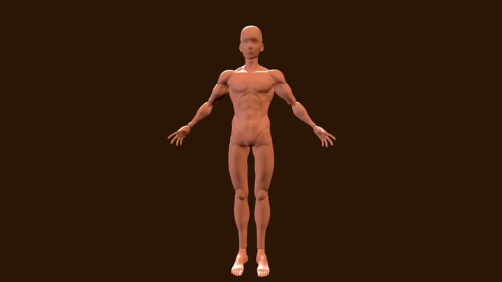 Male_body_ref 3D Model