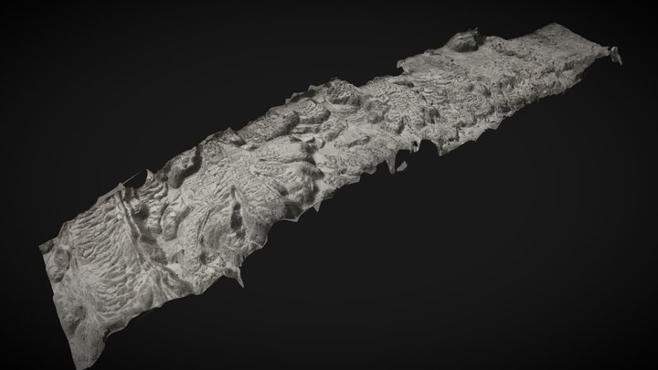 Xochimilco años 50 – Kostenloses 3D-Modell STL