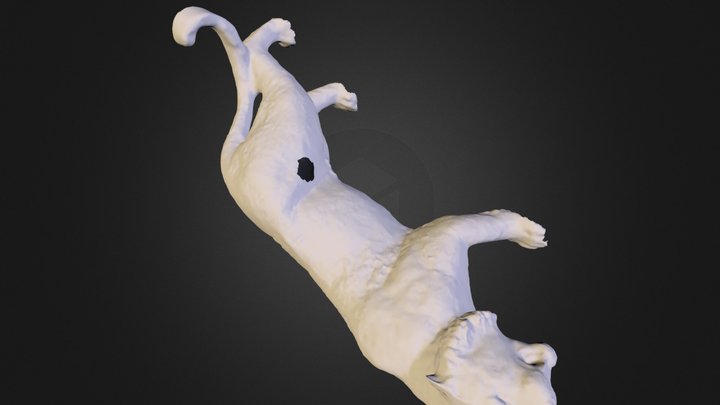 CAT 3D Model