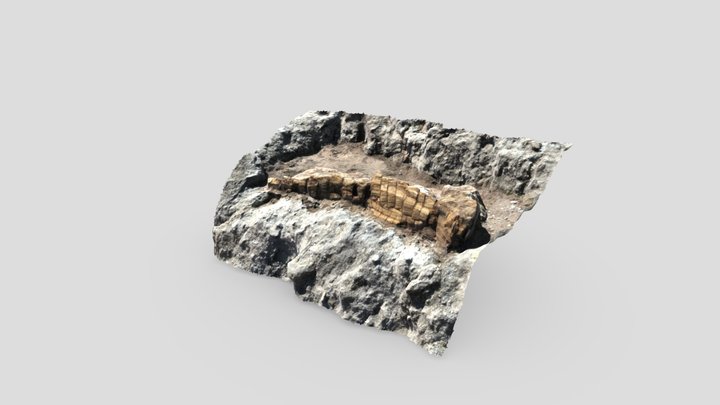 Fossil_F4_F5 3D Model