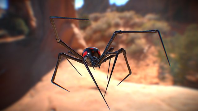 Latrodectus tredecimguttatus 3D Model