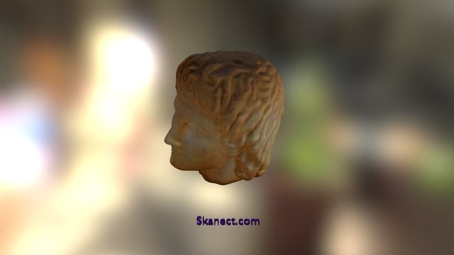 Alexander Head 3D Model