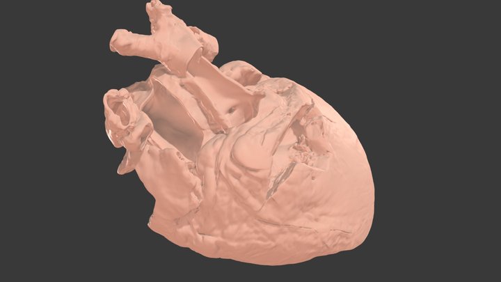 Slv 3D models - Sketchfab